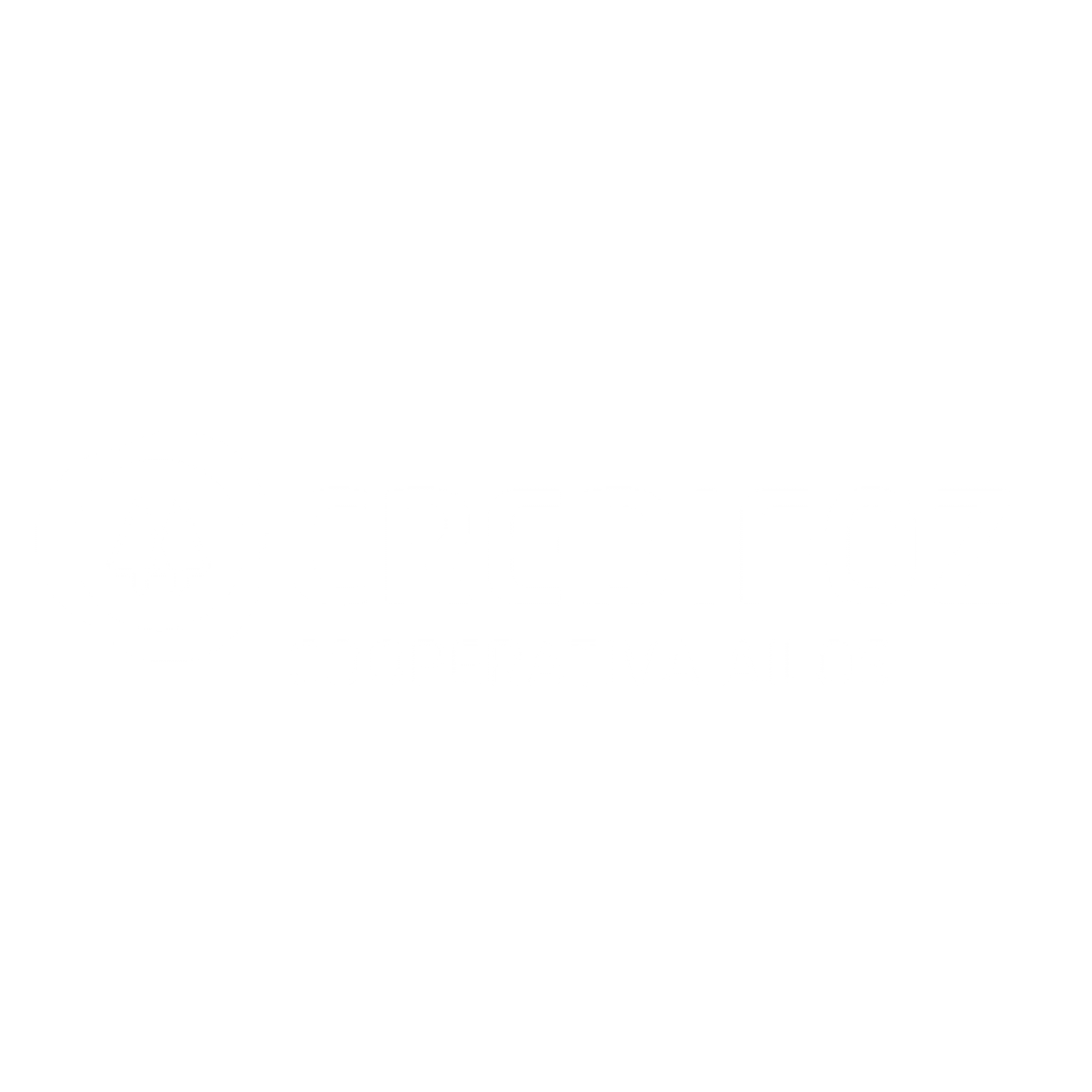 Logo de parceiro