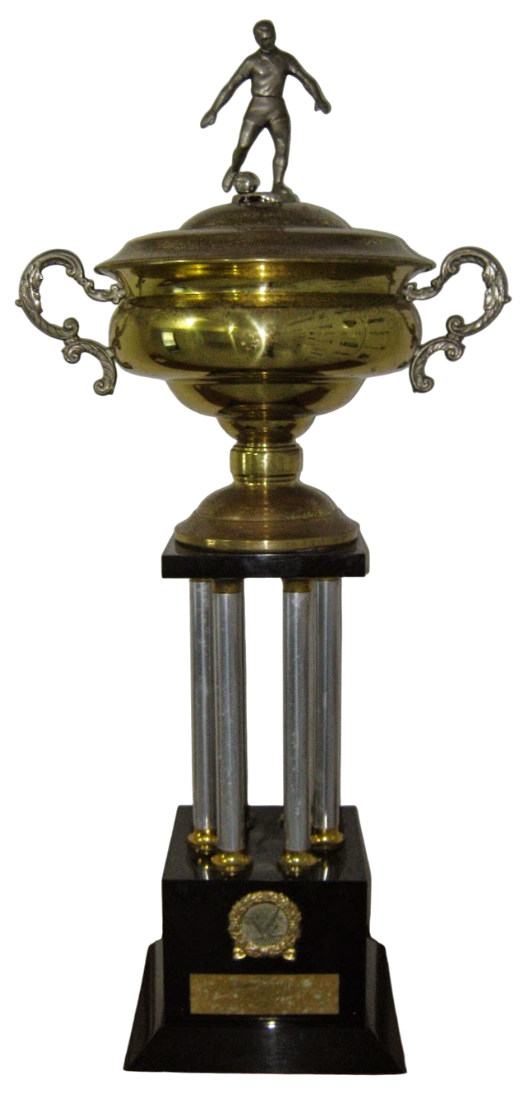 Taça Gov. Pedro Ivo - 1989