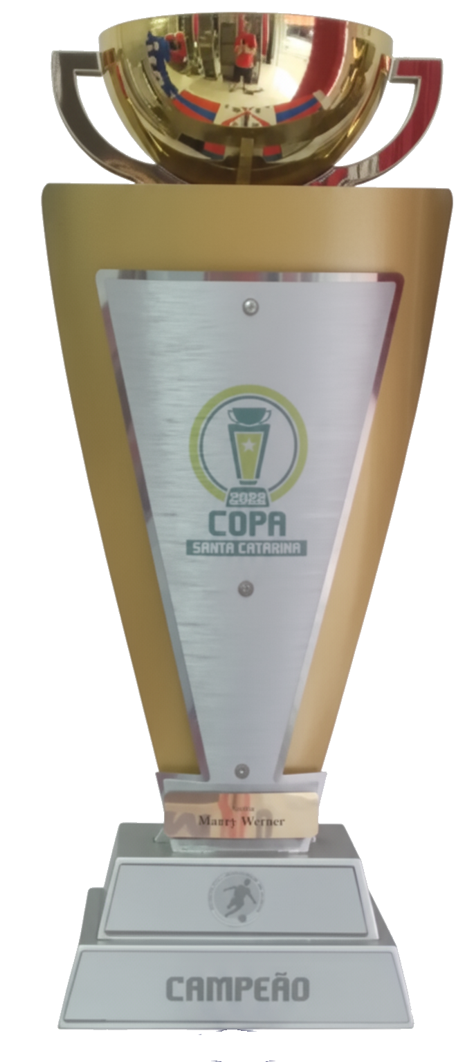 Copa Santa Catarina